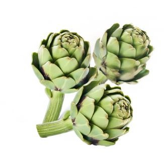 ARTICHOKE LOCAL